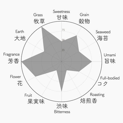 008 Z1 ゼットワン