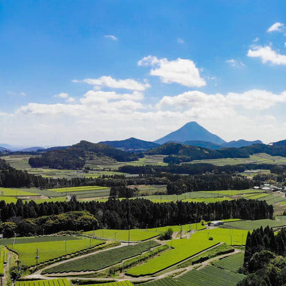 005 OKUMIDORI おくみどり