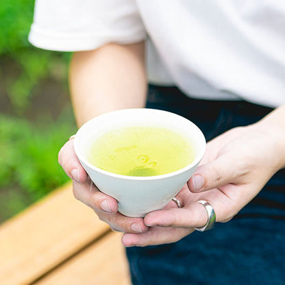 004 YABUKITA YAME やぶきた やめ